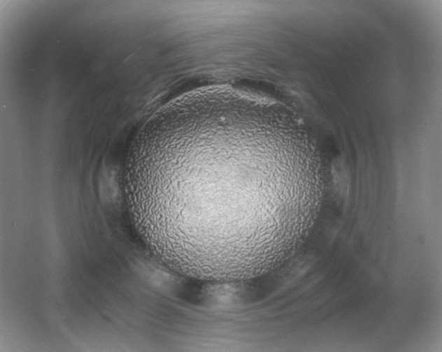X0000062650131200512211242