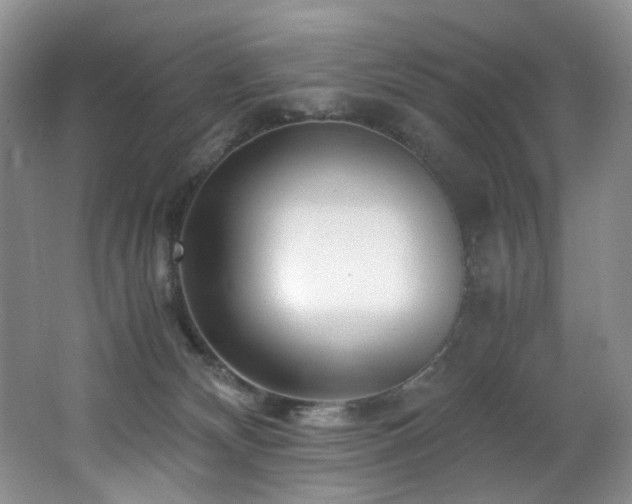 X0000062650132200512211241