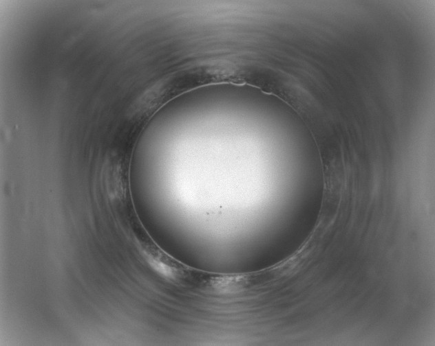 X0000062650136200512211241