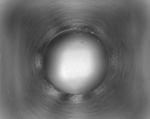 X0000062650138200512211241