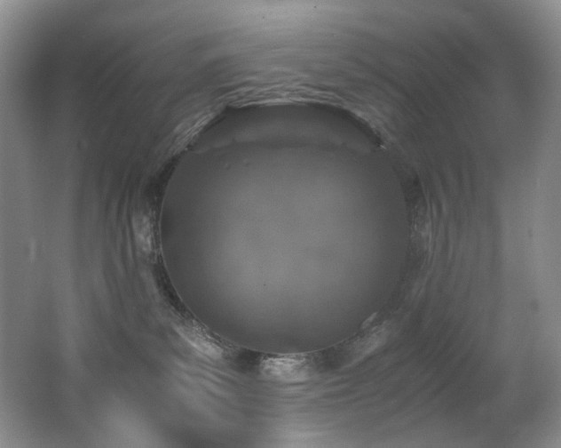 X0000062650139200512211241