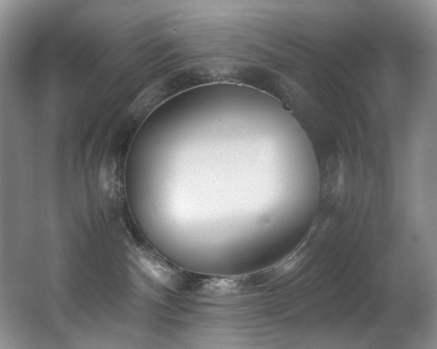 X0000062650140200512211241