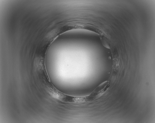 X0000062650141200512211241