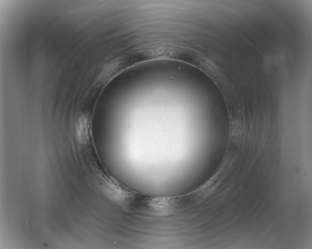 X0000062650142200512211241