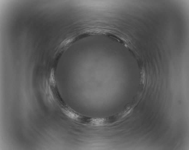 X0000062650143200512211241