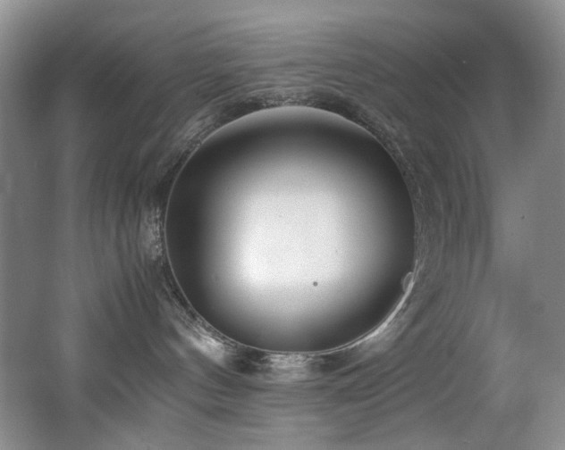 X0000062650144200512211241