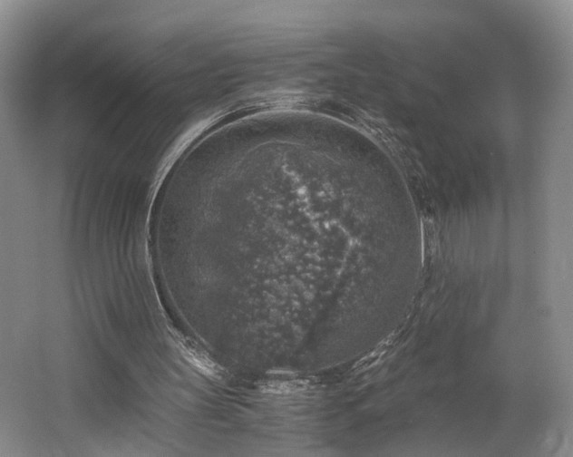 X0000062650147200512211240