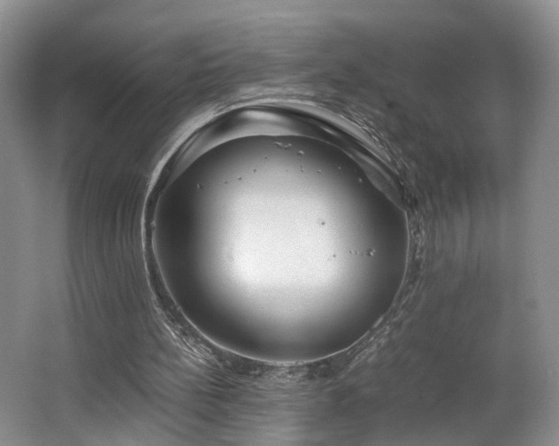 X0000062650148200512211241