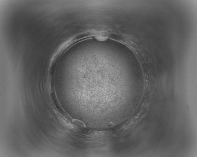 X0000062650149200512211241