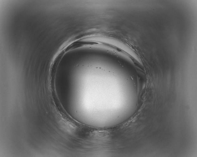 X0000062650150200512211241