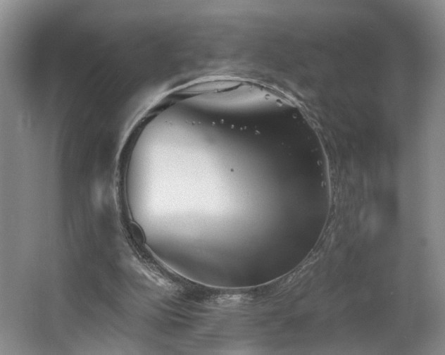 X0000062650152200512211241