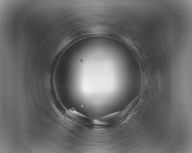 X0000062650154200512211241