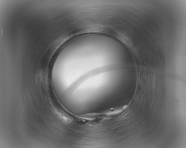 X0000062650156200512211241