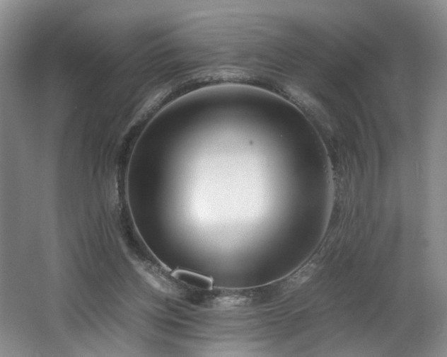X0000062650158200512211241