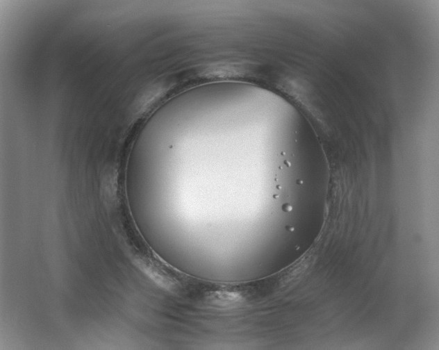 X0000062650159200512211241