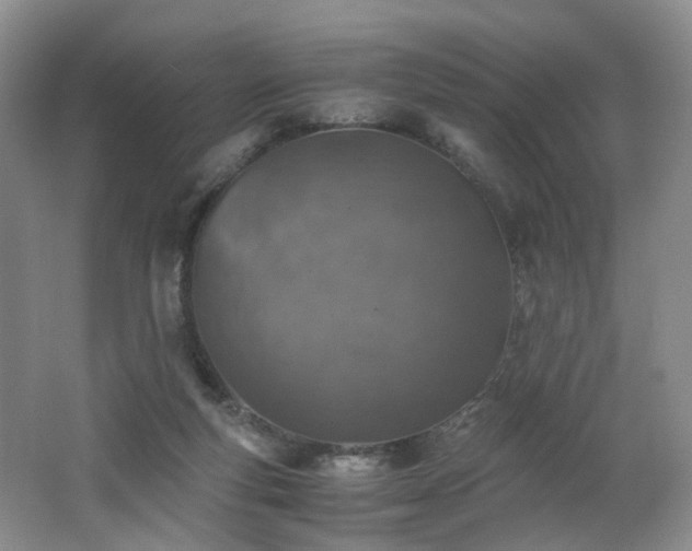 X0000062650163200512211241