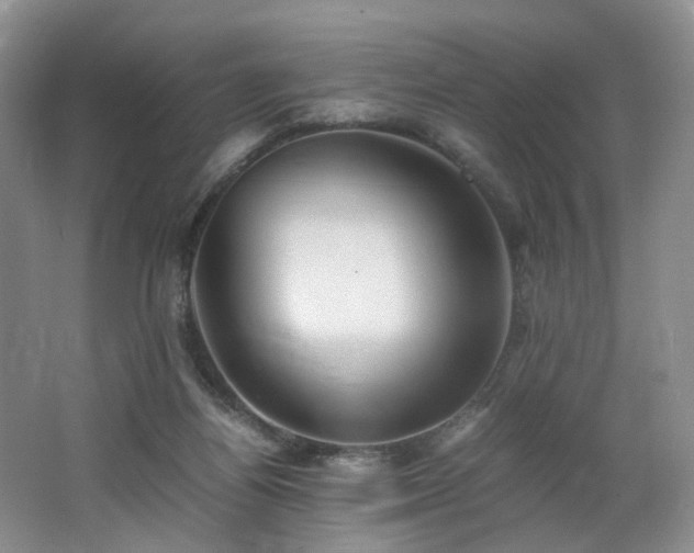 X0000062650164200512211241