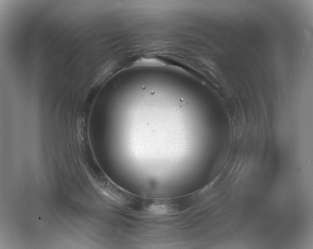 X0000062650171200512211241
