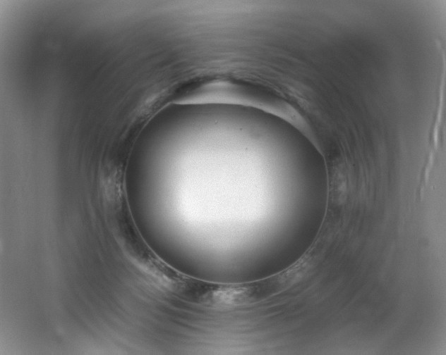 X0000062650172200512211241
