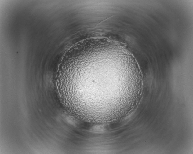 X0000062650178200512211241
