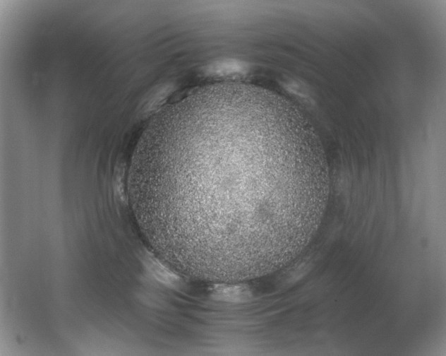 X0000062650185200512211241