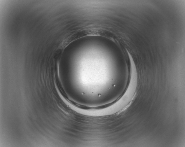 X0000062650186200512211241