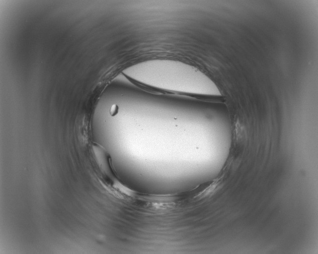 X0000062650188200512211241