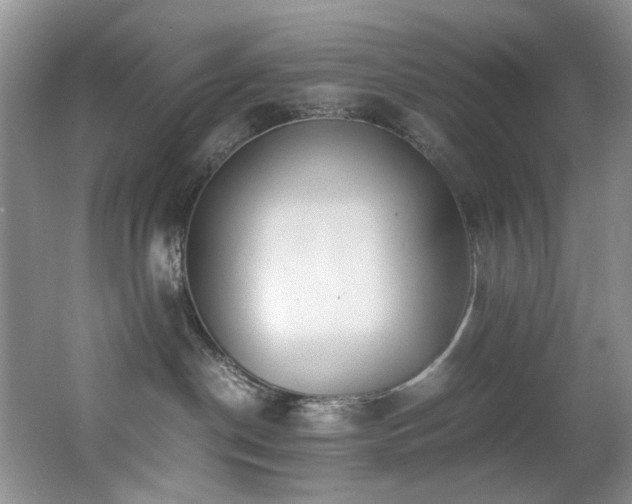 X0000062650190200512211241
