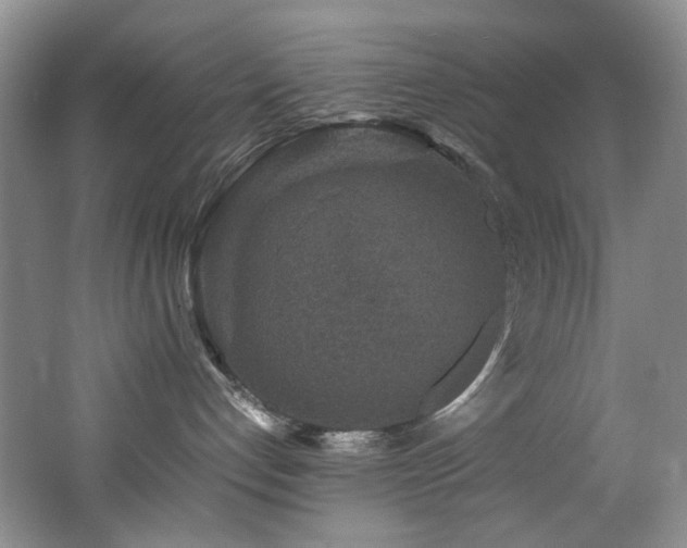 X0000062650192200512211241