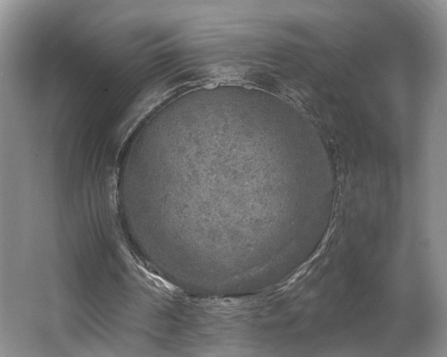 X0000062650194200512211240