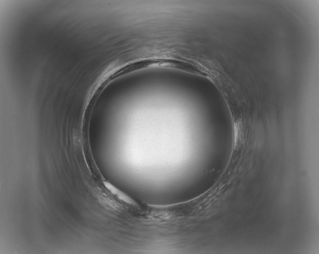 X0000062650195200512211240