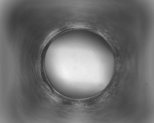 X0000062650199200512211240