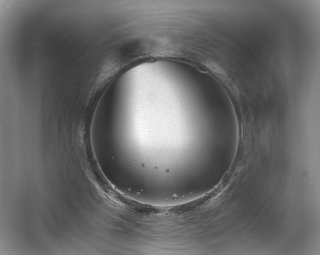 X0000062650201200512211240