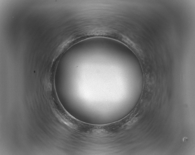 X0000062650203200512211240