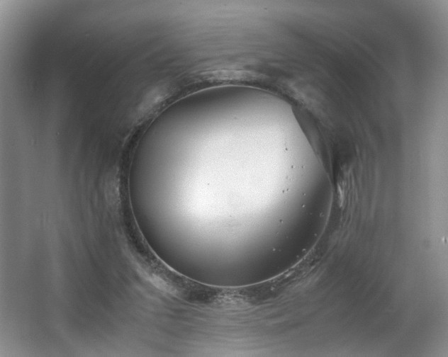 X0000062650207200512211240