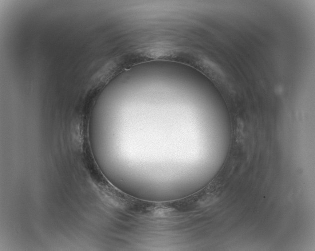 X0000062650210200512211240