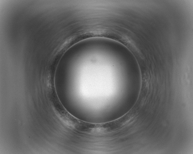 X0000062650212200512211240