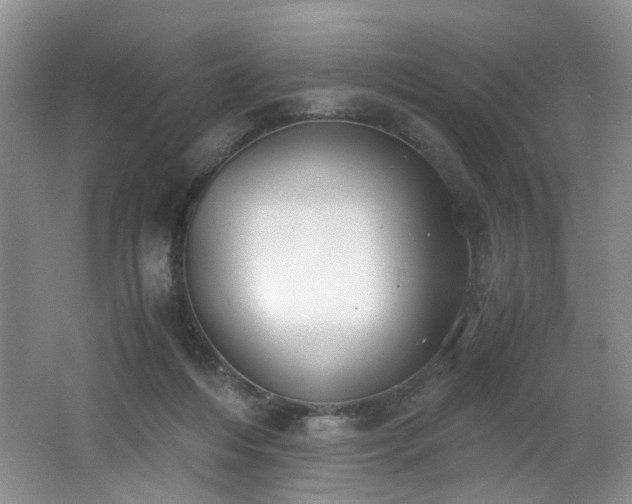 X0000062650216200512211240