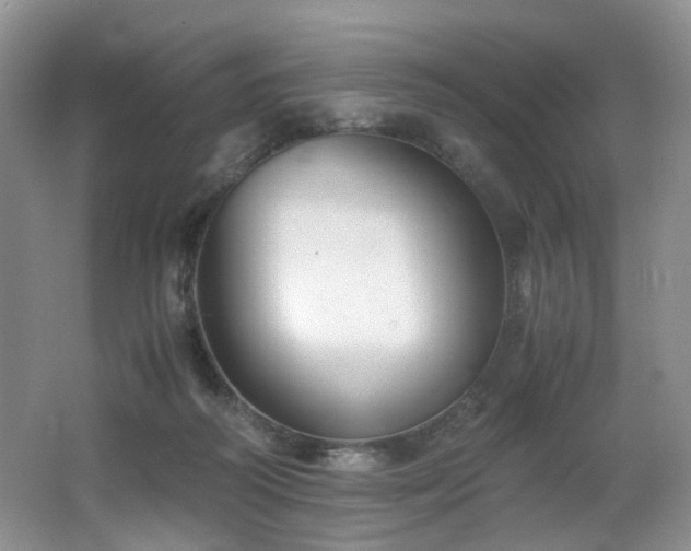 X0000062650218200512211240