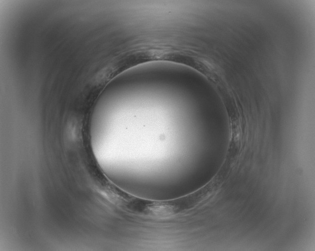 X0000062650221200512211240