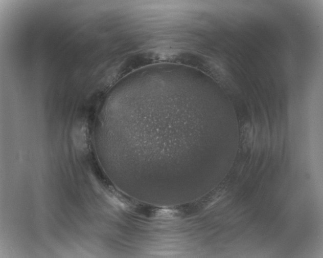 X0000062650222200512211240