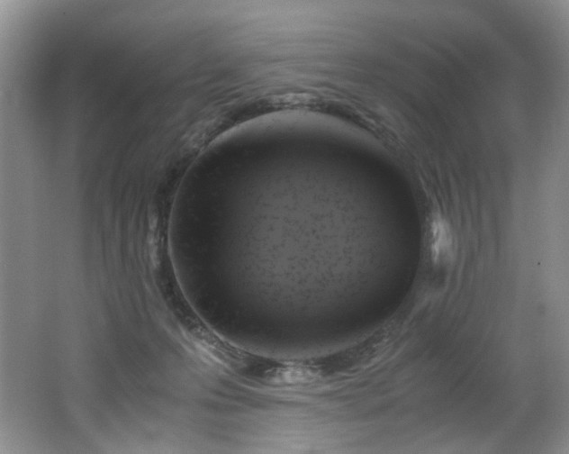 X0000062650223200512211240