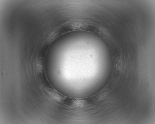 X0000062650226200512211240