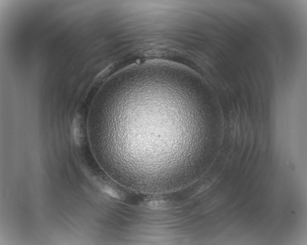 X0000062650228200512211240