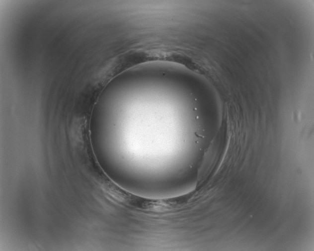 X0000062650229200512211240