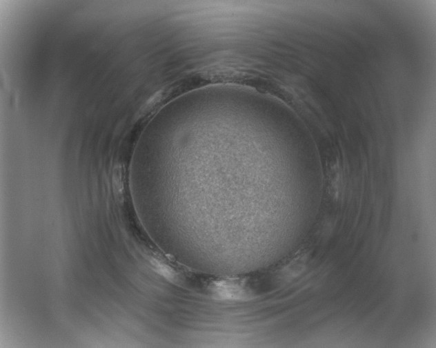 X0000062650232200512211240