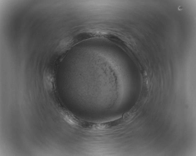X0000062650235200512211240