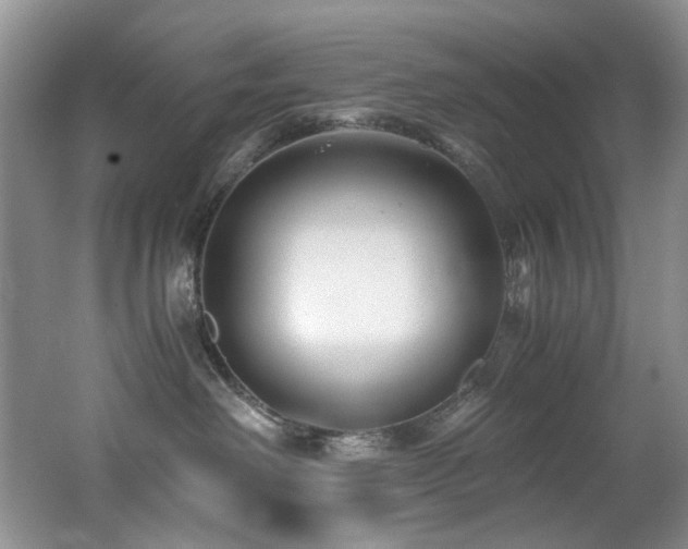 X0000062650238200512211240