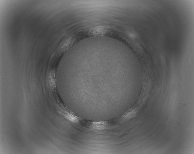 X0000062650240200512211240
