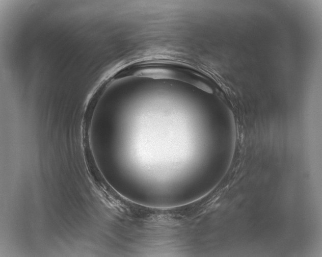 X0000062650244200512211239